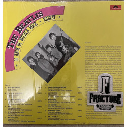 THE BEATLES – 30 AÑOS DE MUSICA ROCK VINYL