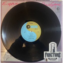 GLORIA GAYNOR – EXPERIENCE GLORIA GAYNOR VINYL