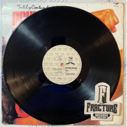 GRUPO NICHE – SUTIL Y CONTUNDENTE VINYL