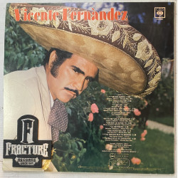 VICENTE FERNANDEZ – ...ES LA DIFERENCIA VINYL DCS-981
