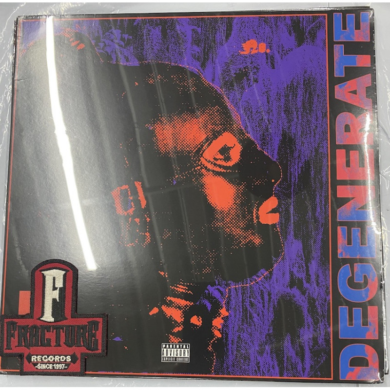 PICTUREPLANE – DEGENERATE VINYL ABM001