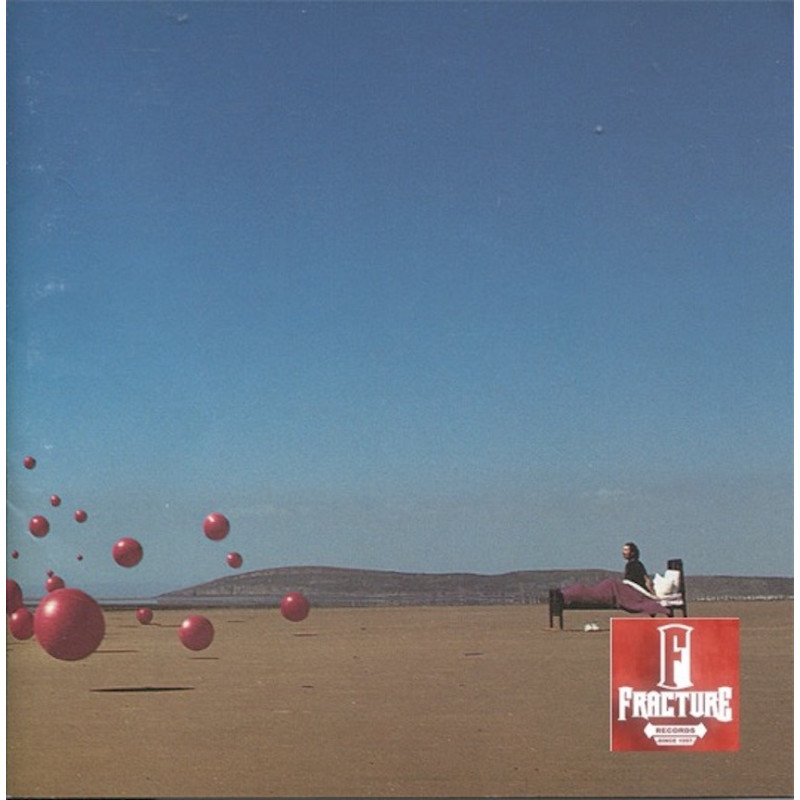 THE CRANBERRIES – WAKE UP AND SMELL THE COFFEE CD 008811270728