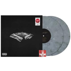 KENDRICK LAMAR – TO PIMP A BUTTERFLY VINYL  (10TH ANNIVERSARY)  GRAPHITE 602478090660