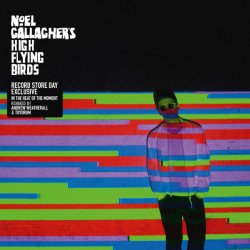 NOEL GALLAGHER'S HIGH FLYING BIRDS – IN THE HEAT OF THE MOMENT (REMIXED BY ANDREW WEATHERALL   VINYL RSD2015 5052945023014