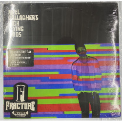 NOEL GALLAGHER'S HIGH FLYING BIRDS – IN THE HEAT OF THE MOMENT (REMIXED BY ANDREW WEATHERALL   VINYL RSD2015 5052945023014