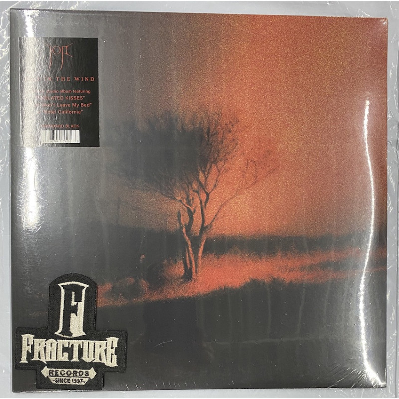 JOJI – PISS IN THE WIND VINYL 198704742828