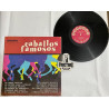 CABALLOS FAMOSOS (CORRIDOS) VINYL HL-8181