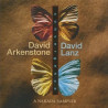 DAVID ARKENSTONE Y DAVID LANZ-CONVERGENCE CD