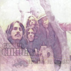 GRUPO CIRUELA-REGRESO AL ORIGEN CD