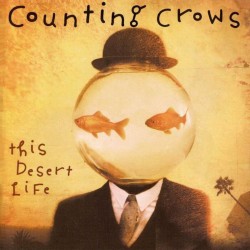 COUNTING CROWS-THIS DESERT LIFE CD