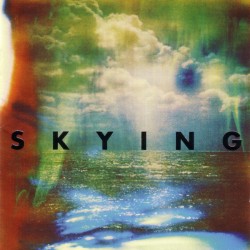 THE HORRORS-SKYING CD