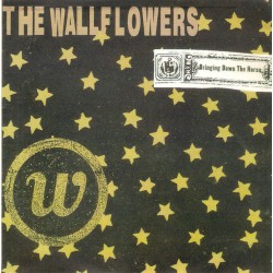 THE WALLFLOWERS-BRINGING DOWN THE HORSE CD
