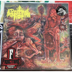 CEREBRAL ROT–EXCRETION OF MORTALITY VINYL GREEN SWAMP INSIDE CLEAR ULTRA, WITH YELLOW PISS, ED OXBLOOD   721616904512