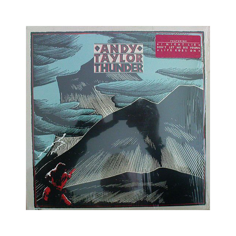 ANDY TAYLOR-THUNDER VINYL ANDY TAYLOR-THUNDER VINYL